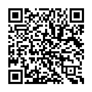 我想要的仅仅是希望家人和朋友可以过得好一点二维码生成