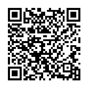 我想要让我的金乌一族成为这失落岛上的顶尖家族二维码生成