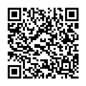 我想贵公司也不想失去我们这样一个优质的合作公司吧二维码生成