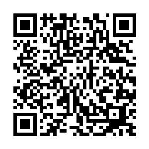 我想起我以追踪白云中的可隐身纸人看到的李御师的情况二维码生成