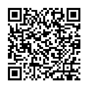 我想这个世界上能让我吃惊的东西估计本就不多了吧二维码生成