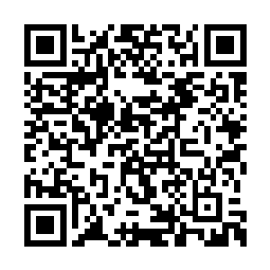 我想这个你们做训练生的时候老师应该教过你了二维码生成