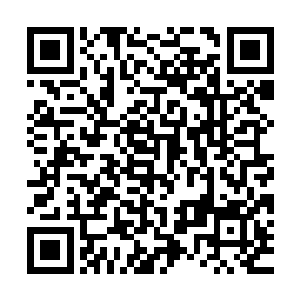 我想这也是他当初不出手把石化重生术的大长老给解决掉的原因二维码生成