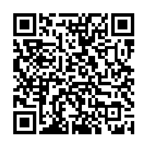 我想那两个无角人一开始并没有抱着大闹王宫的目的二维码生成