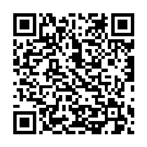 我想那些B级佣兵团想要灭掉你招来的D级佣兵团应该不难吧二维码生成