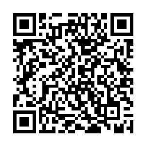 我想那六大家族也不想整个南方变成城主府的一言堂二维码生成