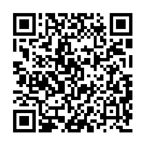 我想长生事务所现在已经是在找地葬之棺的位置二维码生成