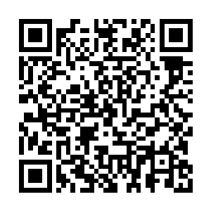 我想问为什么阿富汗人为什么就会保养自己的枪二维码生成