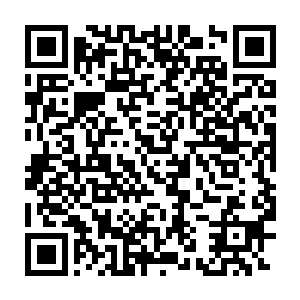 我想青火宗和东方神机宗很快就会被东方修仙界各个宗门瓜分消灭二维码生成
