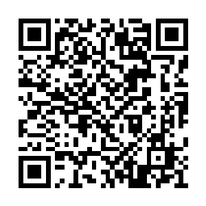 我感知下白狐位置后与澹台璃一起出去夜游酒吧二维码生成