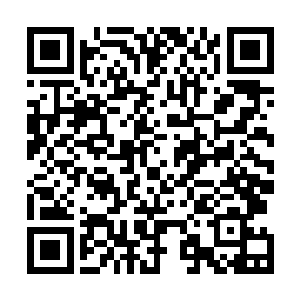 我感知到这些玩意儿身上竟散发出了一道非常阴冷的邪气二维码生成