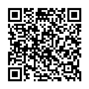 我感觉是这课青松稳固住了血海使得它封禁在这个空间内二维码生成