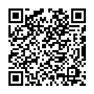 我感觉秦师叔似乎是有什么事情瞒着我们没有告诉我们二维码生成