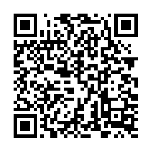 我慢慢靠近了外界还悬浮在星空中四下张望的一位落单仙人二维码生成