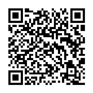 我戎马半生难道最后就是为了当一个农夫或者渔夫二维码生成