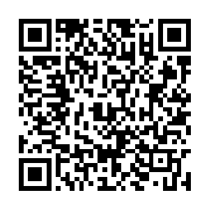 我我不想……我只想自己凭借自己的能力生活下去二维码生成