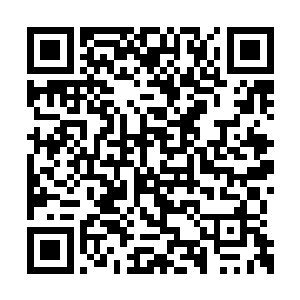 我战队的弟子都被你们的灵压镇的快精神崩溃了二维码生成