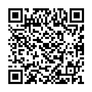 我手下的每一位苍天霸主都拥有化为人形的能力二维码生成
