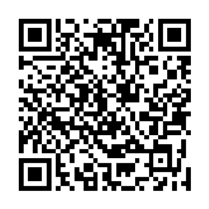 我才刚靠近便被几个拥有声波探测能力的天位海族所察觉二维码生成