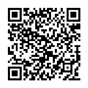 我才发现这式神通可不仅仅是加快飞行速度而已二维码生成