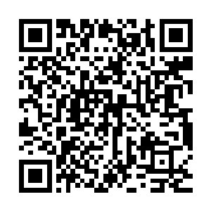我打算让你带着我和你的妹妹赵紫薇还有你爸爸的骨灰回到华国二维码生成