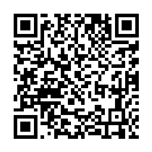 我打算这次多花点钱看争取能帮刘三儿把病彻底治了二维码生成