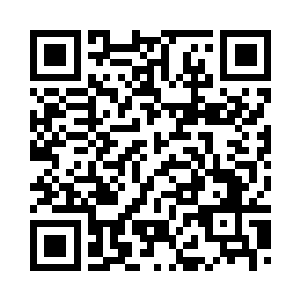 我执意请他们吃了一顿简单的午餐二维码生成