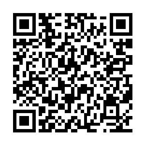 我承认你要是没有受伤的话我白浩不是你的对手二维码生成