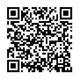 我承认刚才我有点儿被她们的美貌给冲昏头脑了二维码生成
