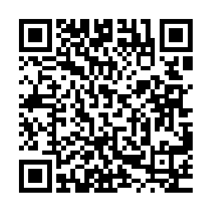 我承认是时不时就低头瞄一眼晶姐抹胸晚礼服那里的边缘风景二维码生成