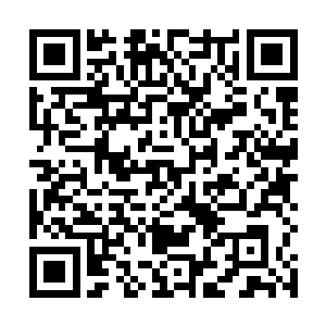 我承诺我会配合有关方面对我和民盟军的关系进行调查二维码生成