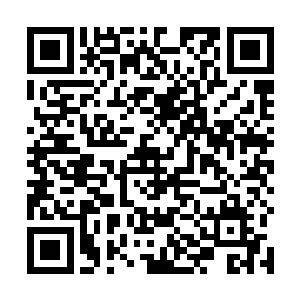 我把他体内的那颗魔族种子吸进我的体内炼化了就是了二维码生成
