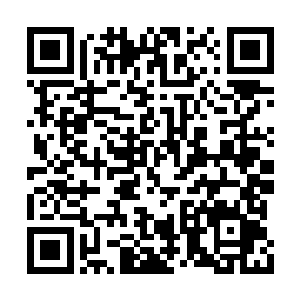 我把他当亲儿子对待――经常吃在我家睡在我家二维码生成