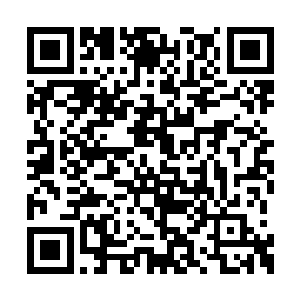 我把关注力都放在追踪目标人的可隐身纸人上面二维码生成