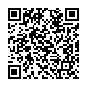 我把所有的神力和注意力都集中到眼前的对手身上二维码生成