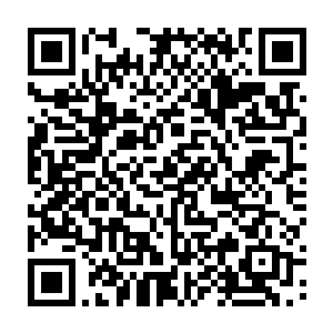 我把白狐和玉柱搁在床铺上面握紧手中匕首和咕仔一左一右守在帐篷入口二维码生成