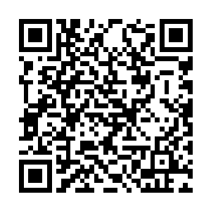 我抱起小红的骷颅还有它的同伴给它拼凑好的身体二维码生成