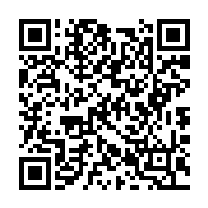 我拍了拍背后两把裹了剑布的掌门金剑和黑龙黑剑二维码生成