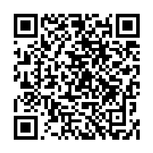 我拔除针管试图断掉它们之间的联系时却失败了二维码生成