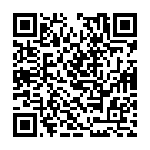 我提出的那份分配方案里不会包含你身后的姑娘们二维码生成