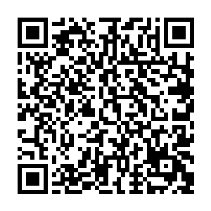 我摆了摆手臂在血海的滋养下那道缺口处血肉一阵蠕动转眼间完好如初了二维码生成