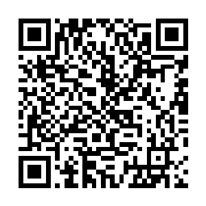我擦……我这辈子都没见过这么多花样翻新的骂人的词儿二维码生成