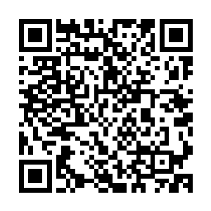 我收敛情绪问询他出事那天晚上在他被车撞到之前发生了什么二维码生成