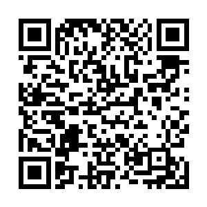 我改变了这个世界的历史的某一个坐标的节点发生的事情二维码生成