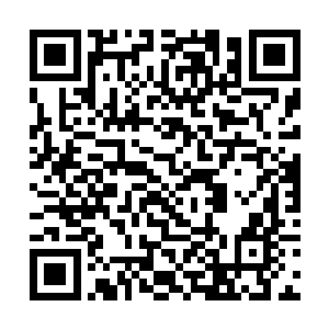 我敢肯定我们要找的人一定在这片大陆最热闹的地方二维码生成