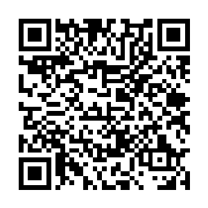 我敢说……那田局长肯定是在从事什么不法的交易二维码生成