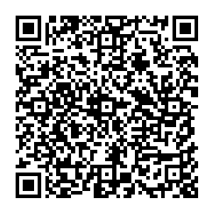 我敢说秦洛在医术上的造诣以及对中医的贡献绝对不会比李时珍华佗那些声名赫赫的名医要小二维码生成