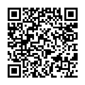 我敬人一丈那天晚上你找的那几个小伙子下手挺黑的二维码生成