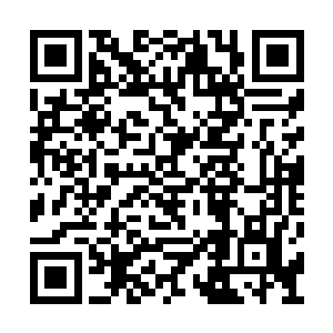 我方才和师哥元神斗法时留下了一丝元神在体内二维码生成