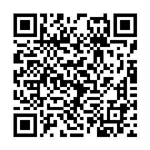 我族的一位蛊仙前辈和石宗太上大长老你打赌赢了二维码生成